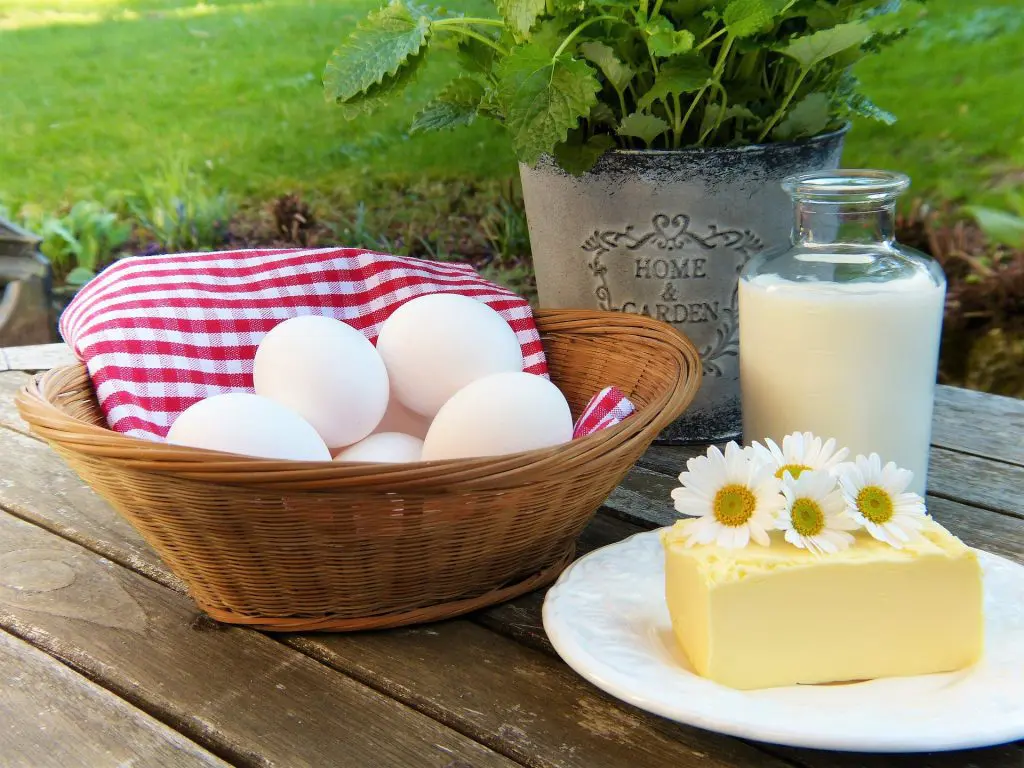 egg-2191991_1920
