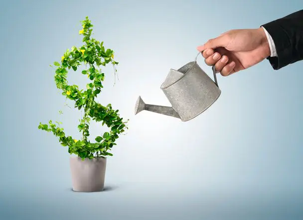investimento 08-07-2015