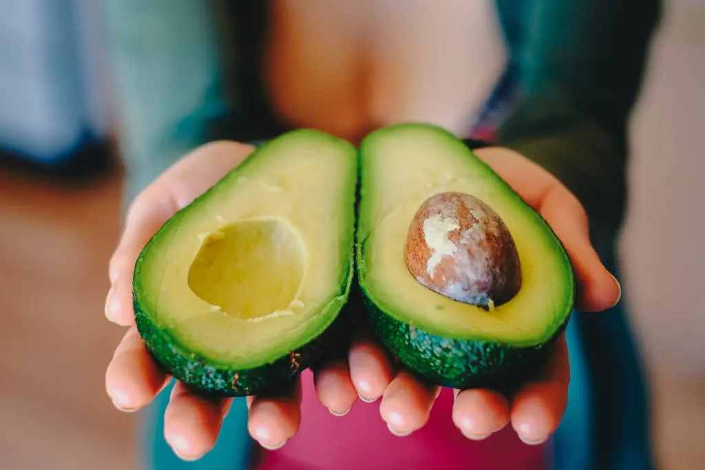 avocado-2115922_1920