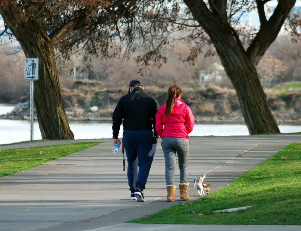 walking-dog-1243310_1920