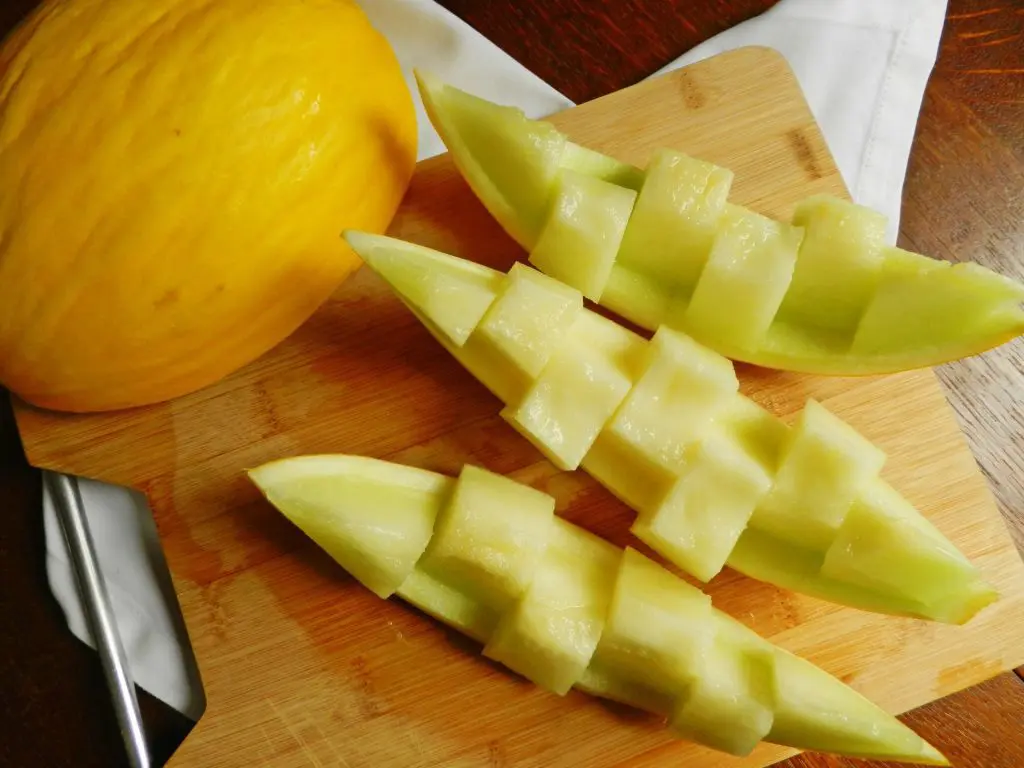melon-1595445_1920