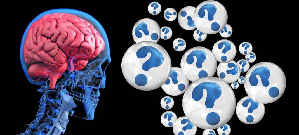 brain-2546101_1920