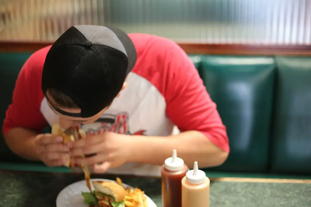fast-food-438659_1920