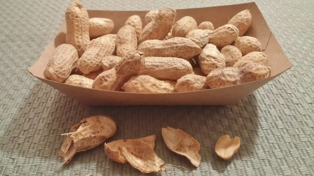 peanuts-468812_1920