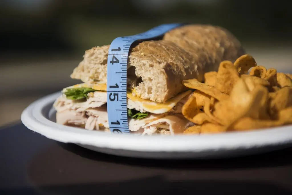 sandwich-2965905_1920