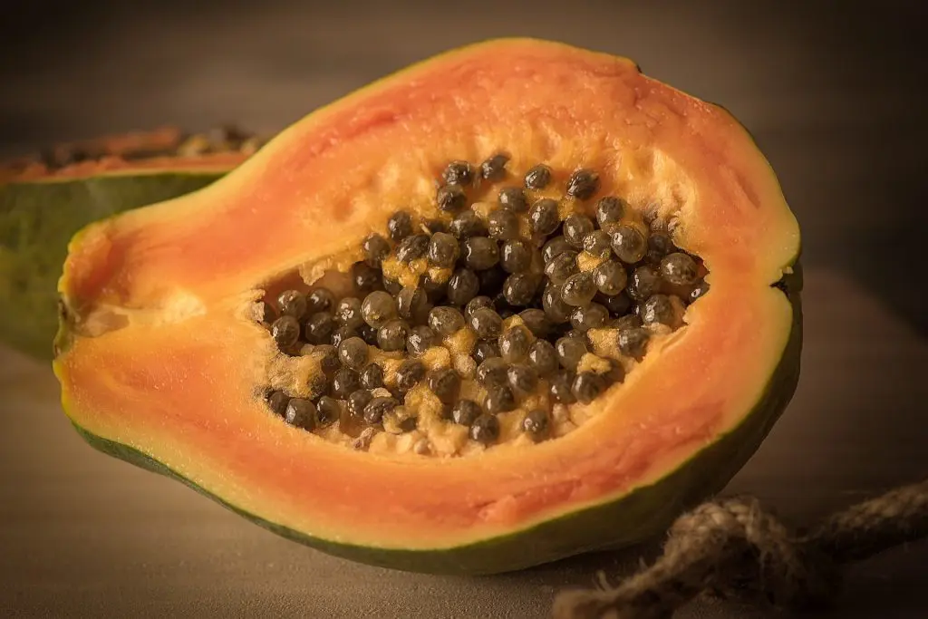 papaya-1263062_1920