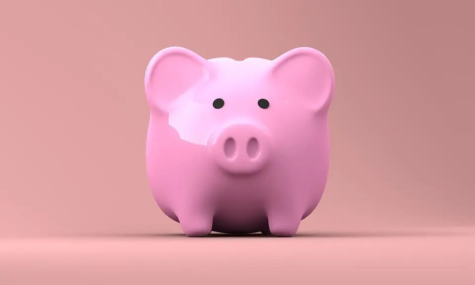 finanças pais primeira viagem