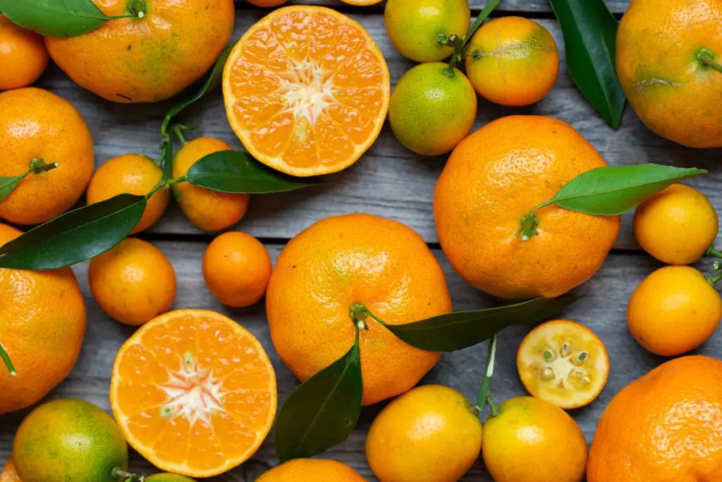 citrusfruit