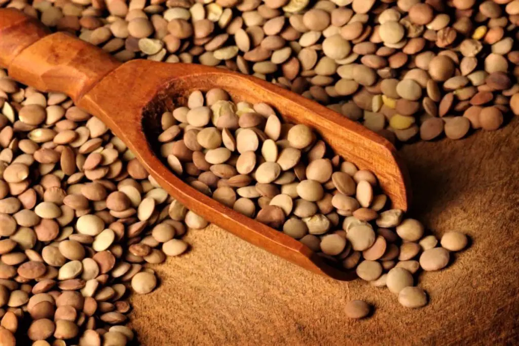 lentilhahealth