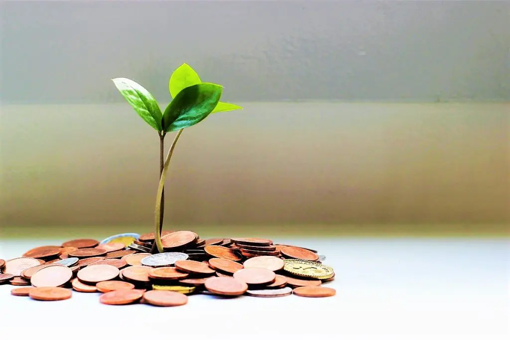 moneyplant