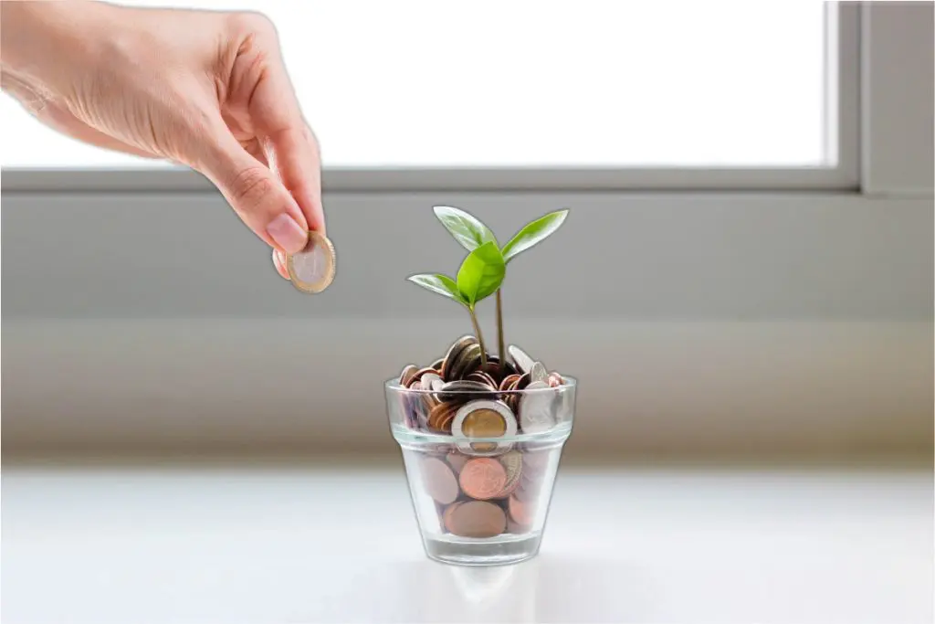 moneyplanthand