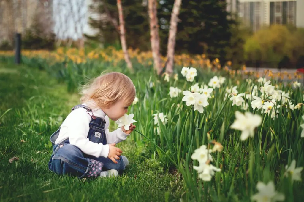 springchild