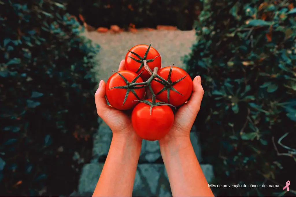 healthtomato