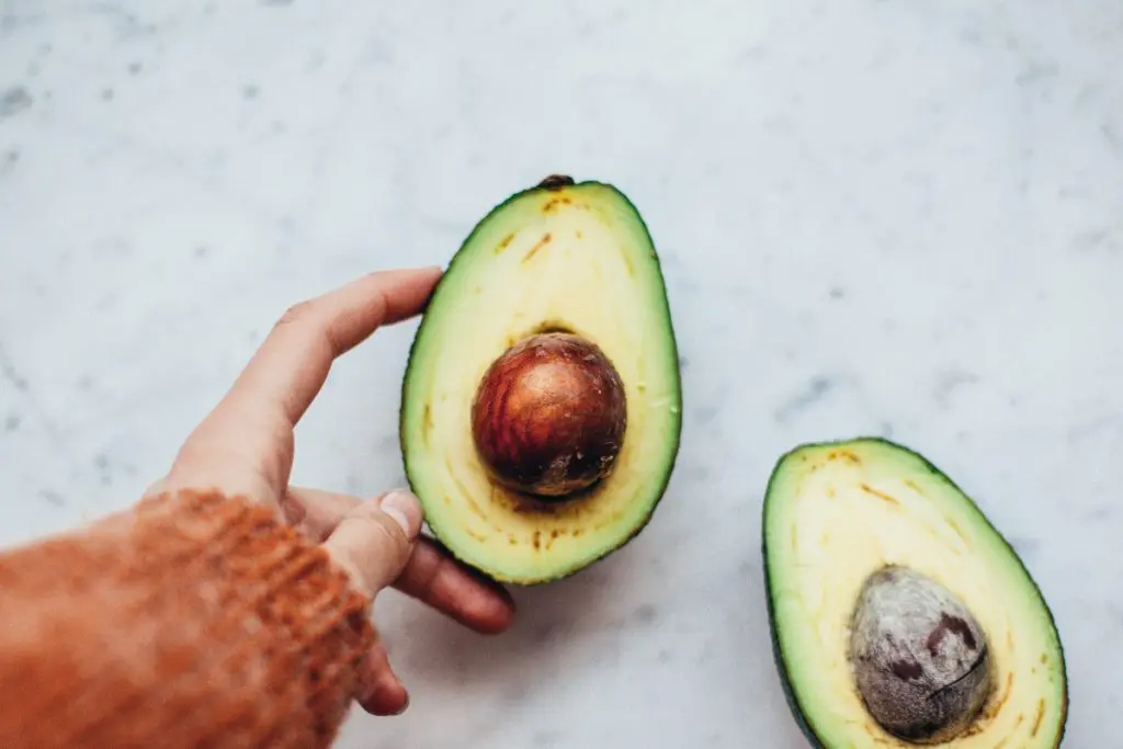 eatavocado