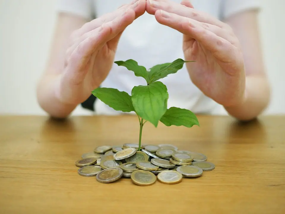 money-back-up-4518407_960_720