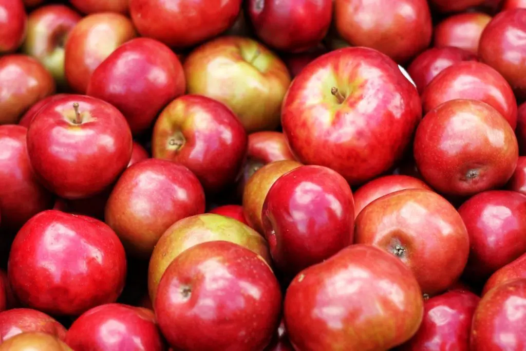 fruitlif