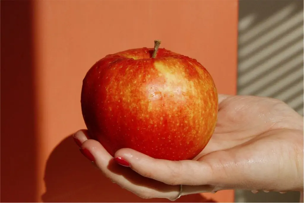 applehand